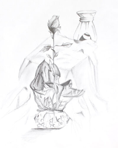 Greylead pencil on paper by Lejla Secic, Year 9, Al-Taqwa College Student artwork of a still life with rose