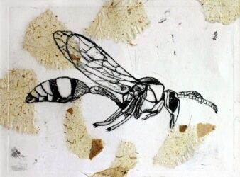 Print on paper by Lachlan Pyne, Year 9, Billanook College Student artwork of a dragonfly