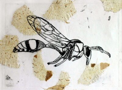 Print on paper by Lachlan Pyne, Year 9, Billanook College Student artwork of a dragonfly