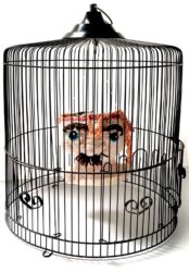 Mixed media with textile by Rebekah Rose, Year 11, Billanook College Student artwork of a knitted portrait in a cage