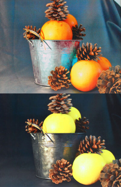 Photography by Shae Williams, Year 9, Casey Grammar School Student artwork of a bucket of fruit and pine cones