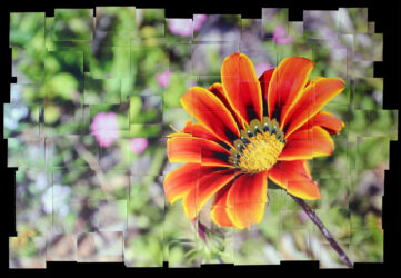 Photography collage by Caitlyn Hamilton, Year 10, Casey Grammar School Student artwork of a collage flower
