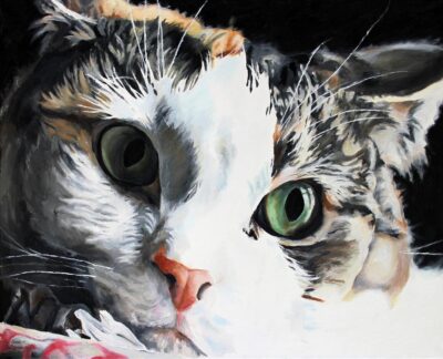 Oil on canvas by Sarah Brennan, Year 12, Highview College Student artwork of a cat