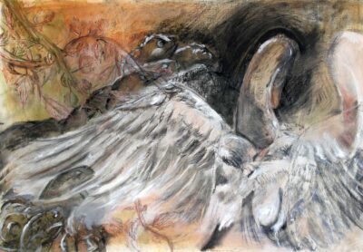 Oil pastel on paper by Louisa Bujor, Year 11, Korowa Anglican Girls’ School Student artwork of a bevy of swans