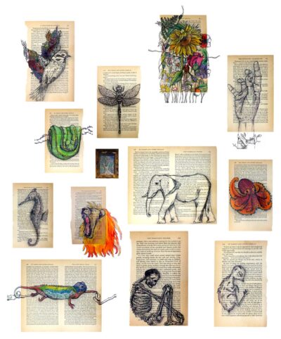 Ink and pen on printed paper by Alexandra Coppinger, Year 12, Preshil – The Margaret Lyttle Memorial College Student artwork of nature drawings on book pages