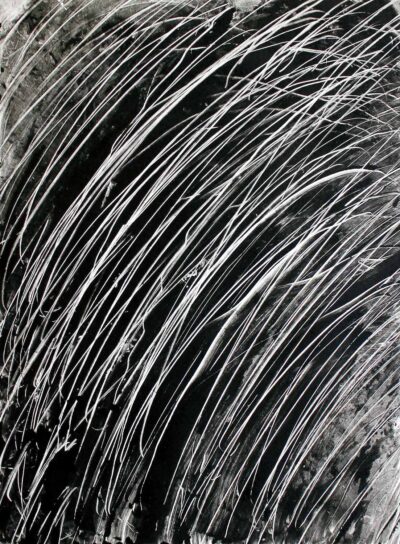 Monoprint by Alaister O’Donnell-Young, Year 9, Preshil – The Margaret Lyttle Memorial College Student abstract artwork