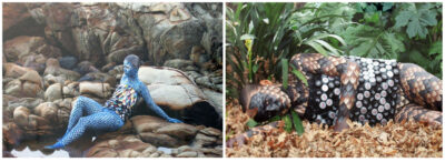 Digital photography by Georgia Freedman, Year 12, St Catherine’s School Student photoshoot of clothes made from recycled materials