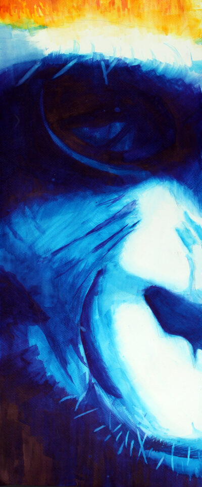 Watercolour and ink on paper by Fred Zhou, Year 10, The Knox School Student artwork of a gorilla