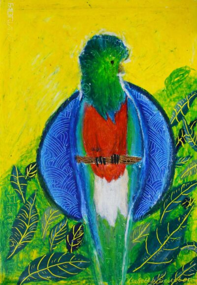 Oil pastel on paper by Isabella Soutter, Year 7, St Catherine’s School Student artwork of a bird