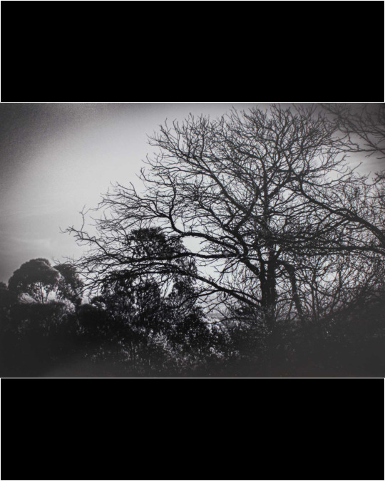 Digital photograph prints by Tahlia Guzzardi, Year 10, St Catherine’s School Student artwork of landscape photography