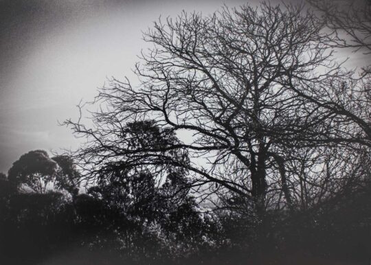 Digital photograph prints by Tahlia Guzzardi, Year 10, St Catherine’s School Student artwork of landscape photography