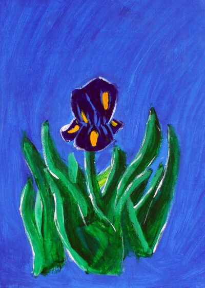 Acrylic on canvas board by Rheanna Senn, Year 5, Carey Baptist Grammar School Student artwork of an iris