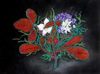 Dry pastel on paper by Meg Richards, Year 9, Ruyton Girl’s School Student artwork of flowers