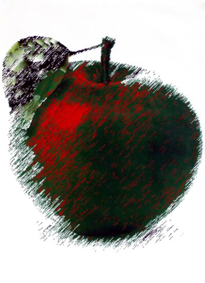 Acrylic on canvas by Khairul Bariya Khan, Year 10, Sirius College Student artwork of an apple