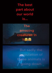 Year 5 students, Ivanhoe Girls’ Grammar School (3 minutes 55 seconds) Student film still