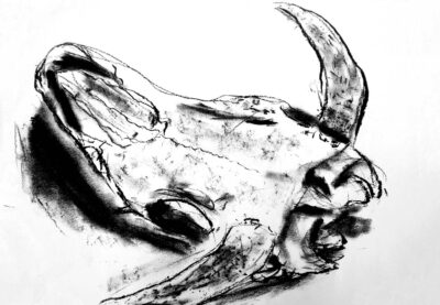 Student artwork of a skull