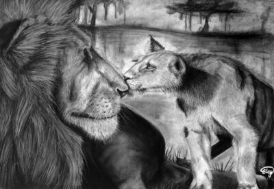Pastel on paper by Eley Christopolous, Year 11, Oakleigh Grammar Student artwork of two lions