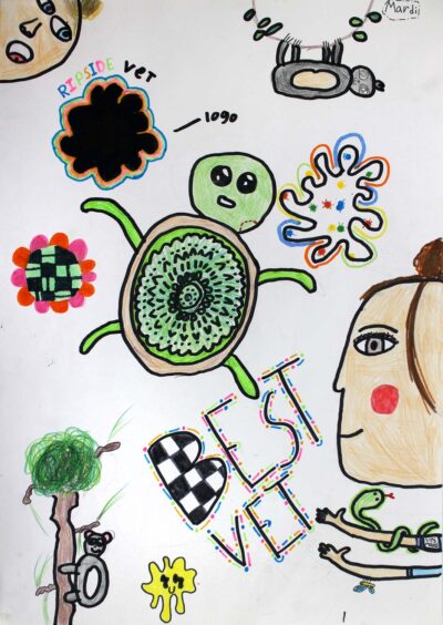 Coloured pencil and markers on paper, Mardi Strachan, Year 4, Newhaven College – Vet Student artwork of a vet