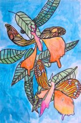 Mixed media by Henry Elliss, Year 1, Christian College Geelong Student artwork of flowers and butterflies