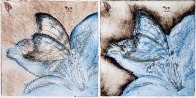 Etching on paper by Sherry Kwok, Year 11, Camberwell Girls’ Grammar School Student artwork of a butterfly and flower