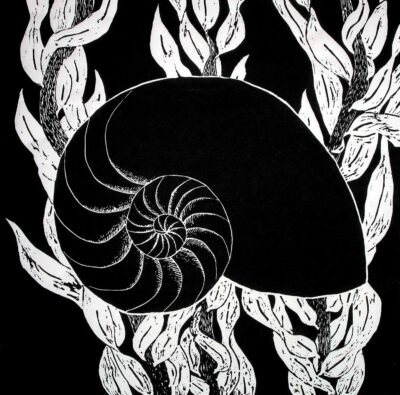 Student artwork of a shell