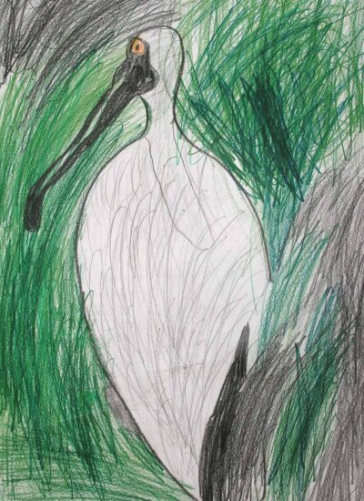 Student artwork of a bird