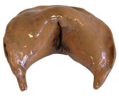 Student artwork of a ceramic fortune cookie