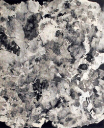 Ink on paper towel by Phoebe Stewart, Year 12, Geelong Grammar School Student artwork