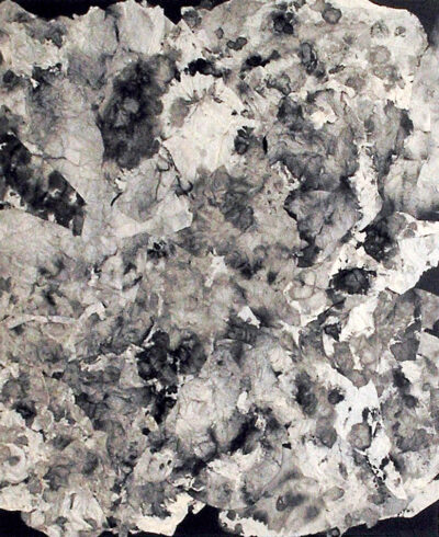 Ink on paper towel by Phoebe Stewart, Year 12, Geelong Grammar School Student artwork