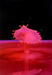 Inkjet print by Sean Song, Year 12, Geelong Grammar School Student art of a splash of pink coloured water