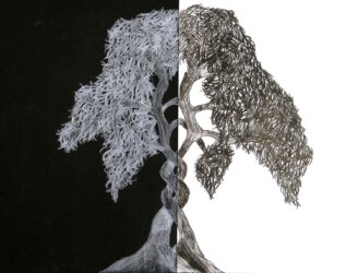 Pencil on paper by Mikayla Branch, Class 8, Little Yarra Steiner School Student artwork of a black and white tree