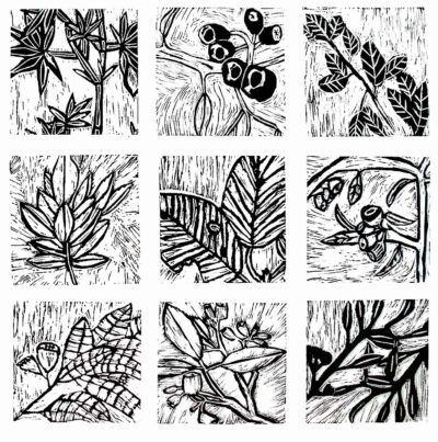 Lino print on paper, a group project by Year 6 students, Beaconhills College Student artwork of linocut native plants