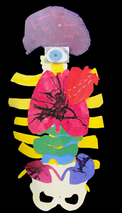 Paper and mixed media collage by Jessica Duiker, Year 8, Beaconhills College Student artwork of internal organs as a collage