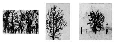 Charcoal and pastel on paper by Haley Blode, Year 12, Bialik College Student artwork of charcoal trees