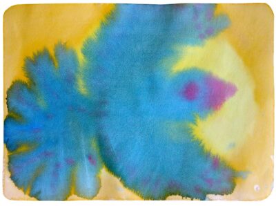 Watercolour on paper by Palmira Demaria O’Sullivan, Class 2, Castlemaine Steiner School and Kindergarten Student artwork of a bird