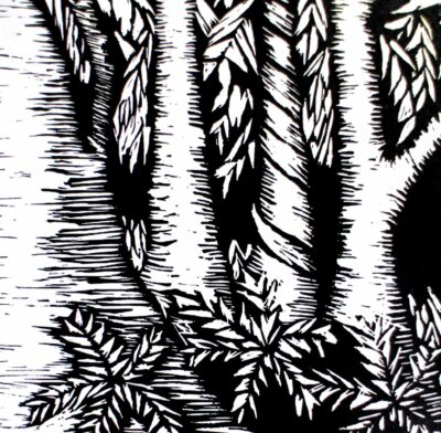 Lino cut print – Holly Lomas, Year 8, Firbank Grammar School Student artwork of lino cut trees