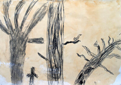 Ink and charcoal on paper by Saul Polycarpou, Year 4, Fitzroy Community School Student artwork of a forest