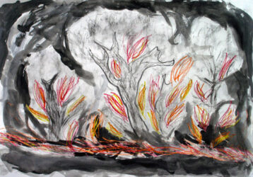 Charcoal, oil pastel and ink by Sheldon Rachmat, Year 2, St Andrew’s Christian College Student artwork of bushfires