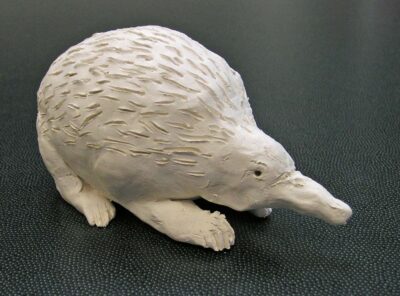 Stoneware by Joshua Fiyalko, Class 8, Sophia Mundi Steiner School Student artwork of a ceramic echidna