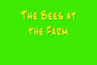 Nick, Maddi and Eliza, Year 4, Melbourne Grammar School Animation