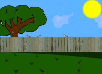 Drew Ioannou, VCE, Mentone Grammar Animation