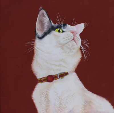 Oil paint on canvas by Isabel Betts, Year 10, Camberwell Girls’ Grammar School Student artwork of a white cat with black ears
