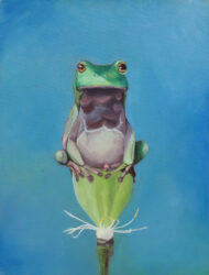 Oil paint on linen by Helena Maunder, Year 10, Camberwell Girls’ Grammar School Student artwork of a green frog sitting on top of a flower