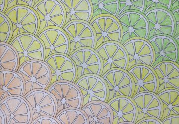 Pencil and paper by Anna Zolotareva, Year 9, Kilvington Grammar School Student artwork of orange, lemon and lime slices