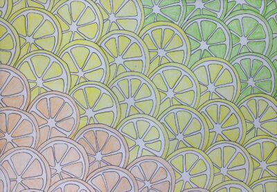 Pencil and paper by Anna Zolotareva, Year 9, Kilvington Grammar School Student artwork of orange, lemon and lime slices