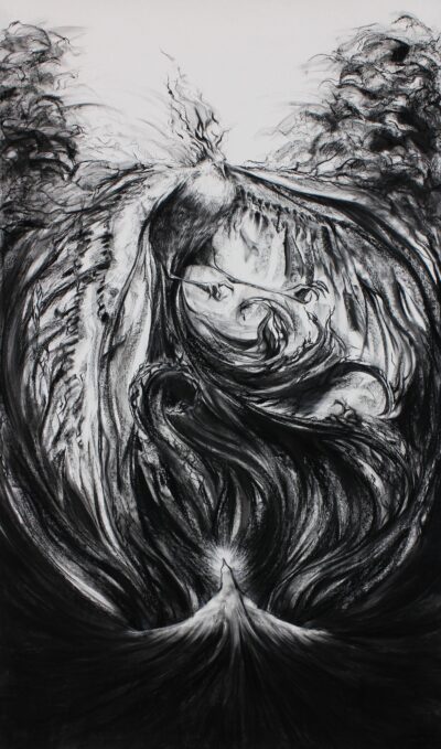 Charcoal on watercolour paper by Dawn Chung, Year 12, Beaconhills College Student artwork of a bird in flight