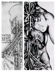 Student artwork of a body and back line drawing