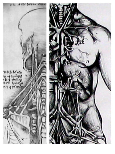Etching on paper by Lauren McCormick, Year 12, Beaconhills College Student artwork of a body and back line drawing