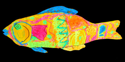 Oil pastel on paper by Matthew Grigg, Prep, Beaconhills College Student artwork of a colourful fish
