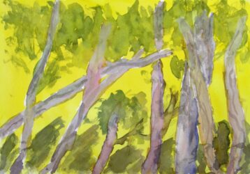 Watercolour on paper by Oscar Wood, Class 5, Castlemaine Steiner School and Kindergarten Student artwork of gum trees